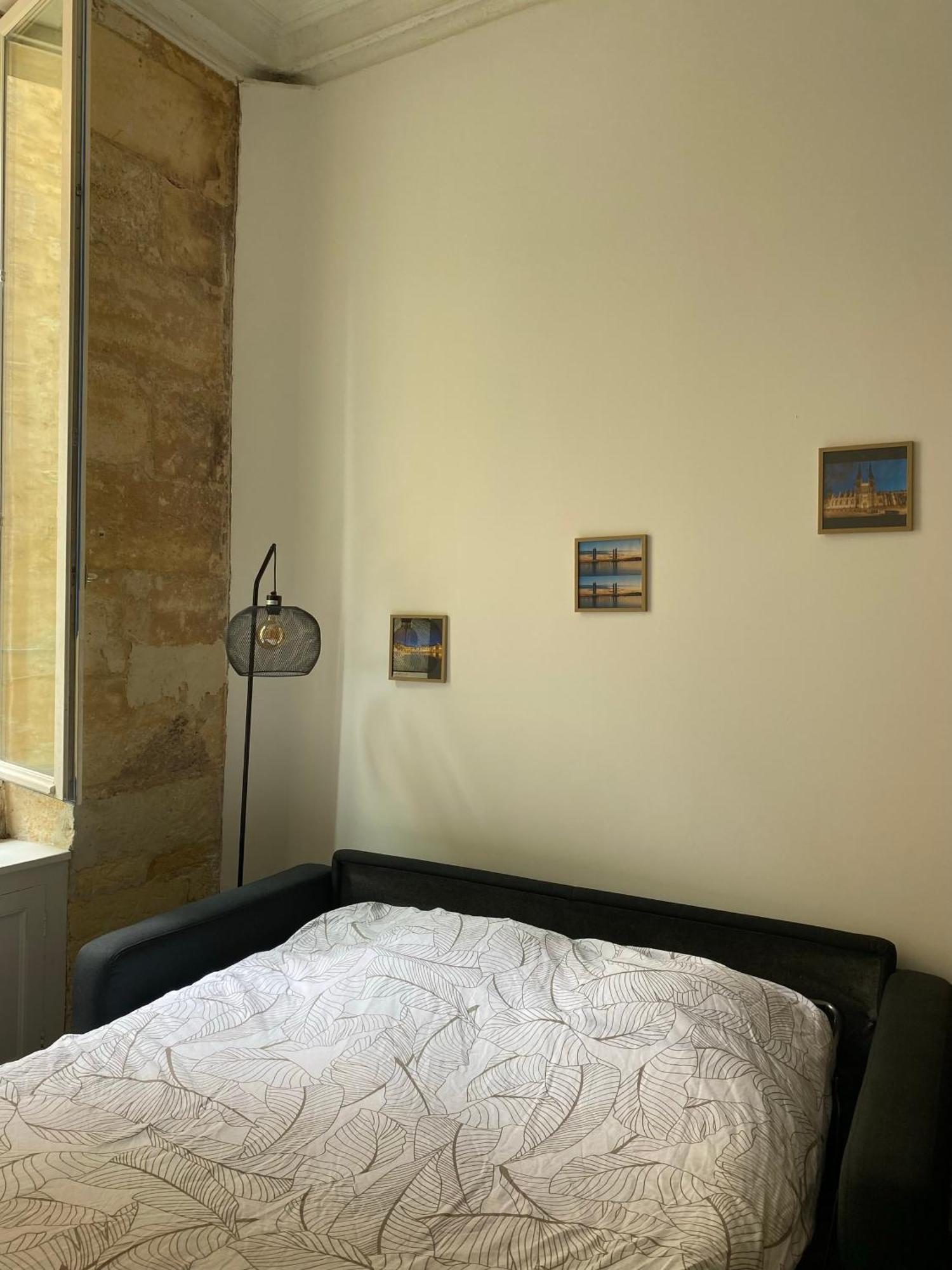 Bel Appartement Avec Mezzanine En Plein Centre De Bordeaux Eksteriør bilde
